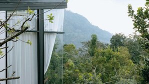 A modern building with large windows and a view of a forested mountain.