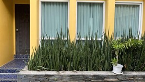 A yellow building with three windows, a door, and a stone planter with tall green plants. - Molecular cloud (Pattaya)