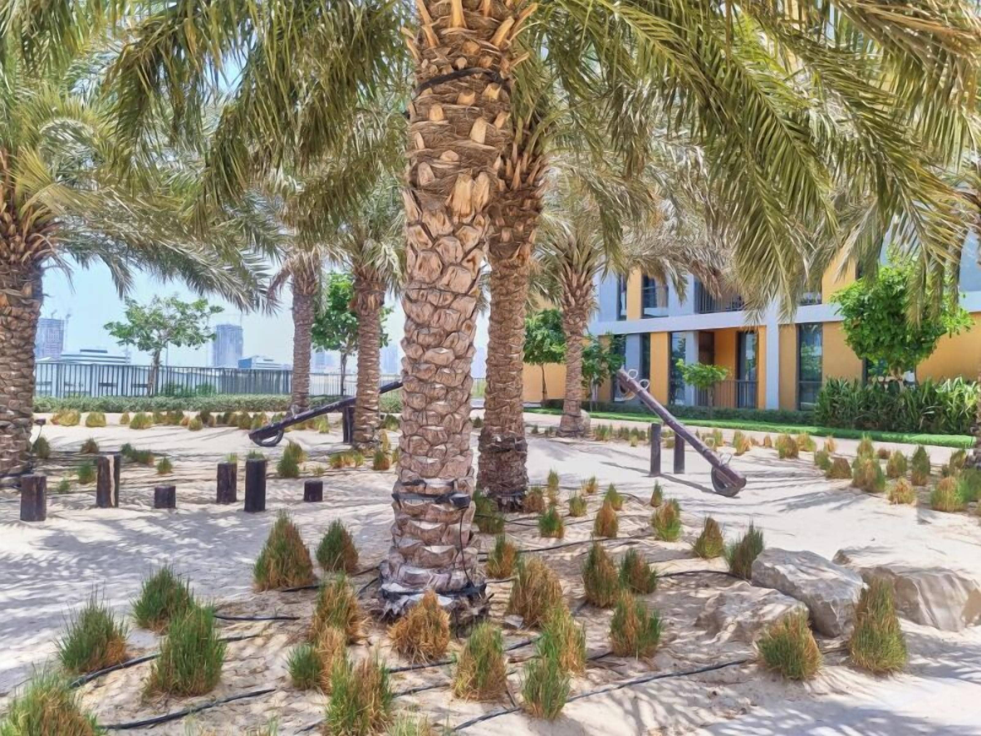 พื้นที่เล่นสำหรับเด็ก - กลางแจ้ง