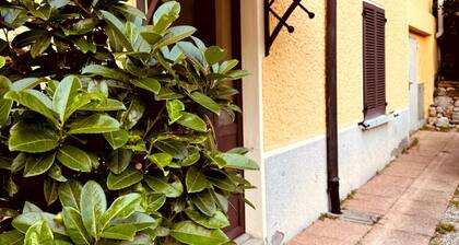 Forest Living, Cozy studio apartment located in Mendrisio.