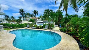 A swimming pool with a curved edge, surrounded by palm trees and a clear blue sky.