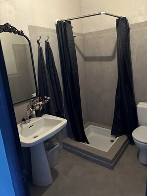 Chuveiro, secador de cabelo, toalhas de banho, papel higiênico