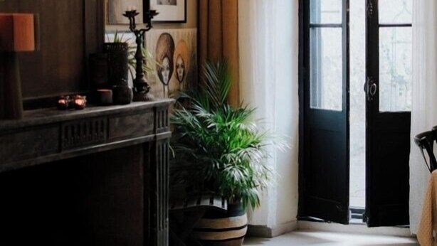 A room with a fireplace, a large potted plant, and a door leading outside. - Charming bed & breakfast in Limoux, all roms with private bathroom. (Limoux)