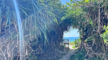Uma trilha estreita cercada por vegetação densa, que leva a uma praia.