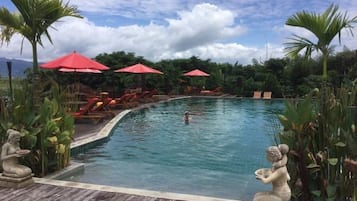 A swimming pool with lounge chairs and umbrellas, surrounded by tropical plants.