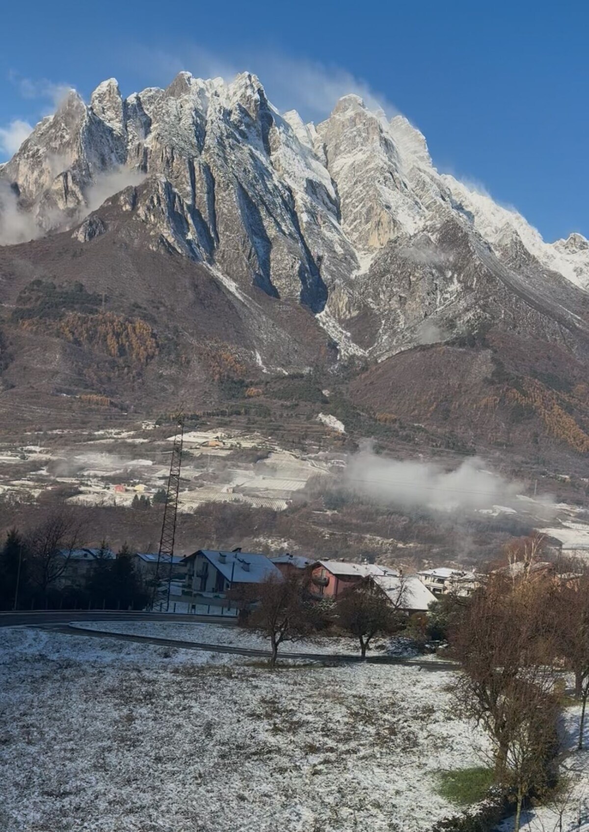 Imagen de perfil del propietario o de la propietaria