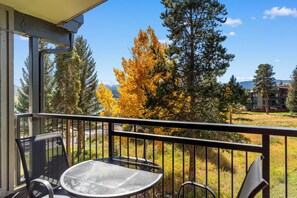 Outdoor dining - Lakeside Getaway Near Lake Dillon and Amphitheater – Central to 3 Ski Resorts (Dillon)
