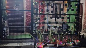 A balcony with potted plants and colorful lights. - Home in Pagadian City near airport (Pagadian)