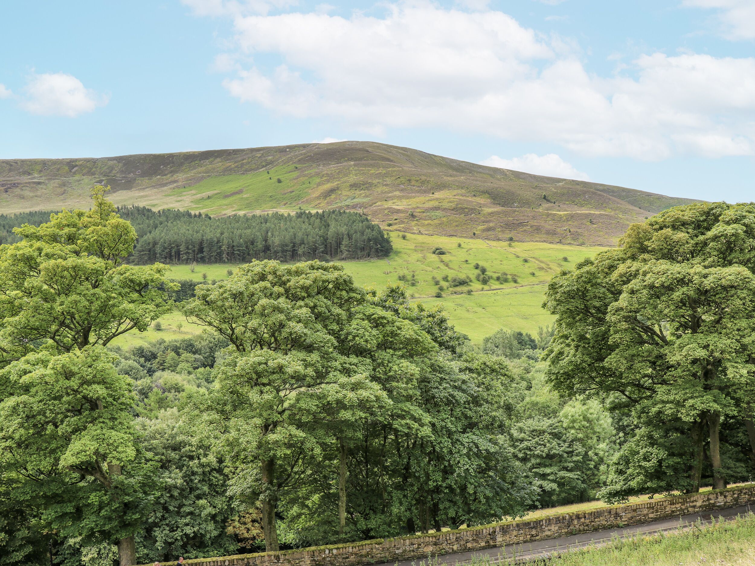 A rural landscape with rolling hills, dense trees, and a stone wall.