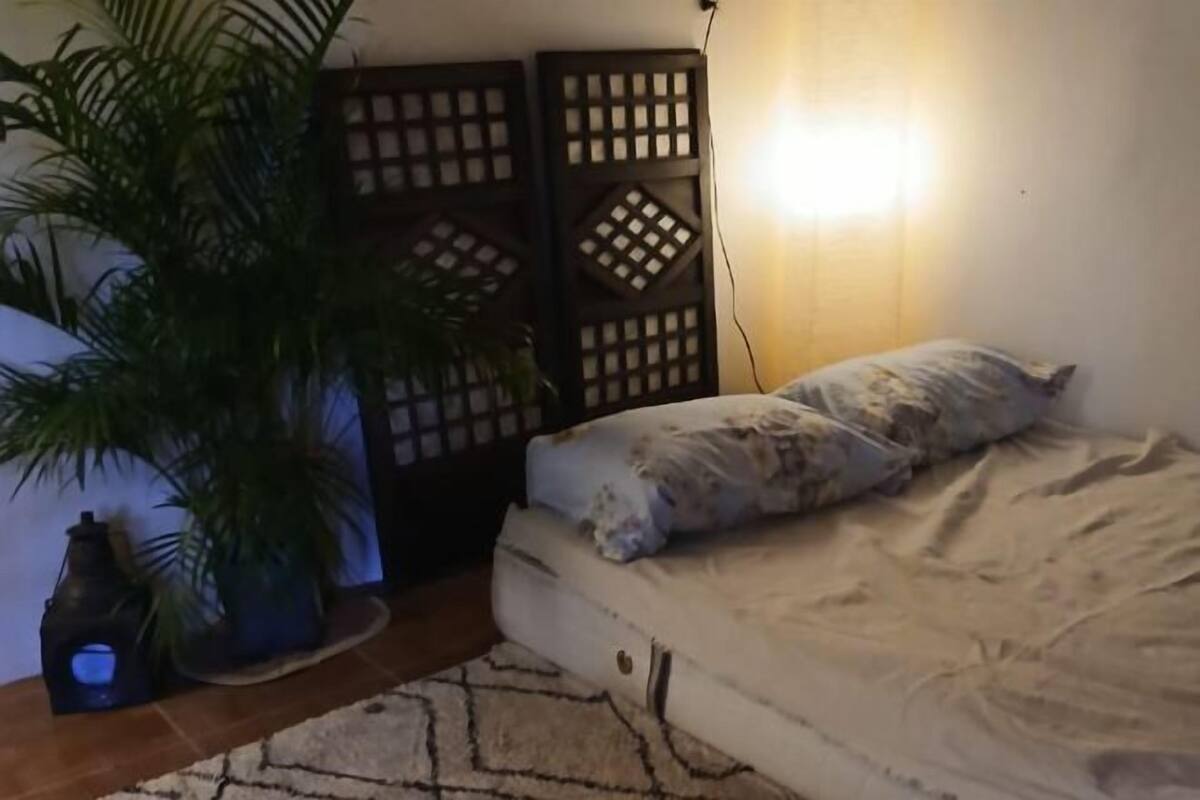 A bedroom with a bed, a potted plant, a decorative wall panel, and a wall-mounted light.