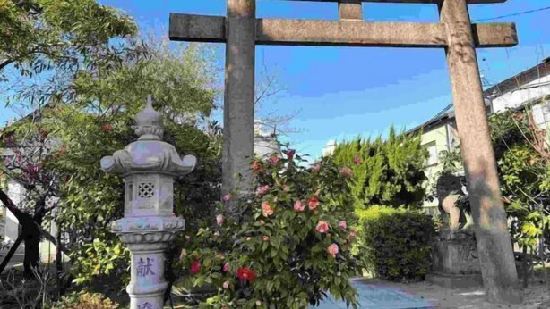 A traditional Japanese torii gate with a stone lantern and a blooming rose bush in the foreground. - Remembrance (Osaka)