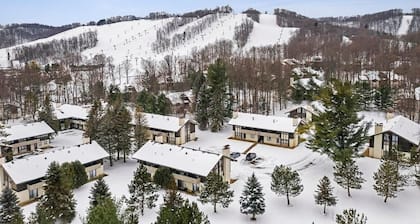 Coming for a short trip but don't want to stay in a hotel room? Stay Downhill. Comfy, cozy and the feel of home! Kitchenette stocked with essentials to make a quick meal. Extra comfortable bedding and lounging areas. <br>Walking distance to ski lift.