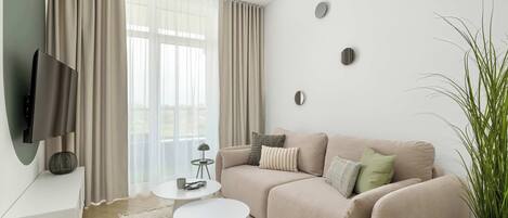 Fernseher, Arbeitsbereiche