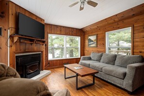 Smart TV, chimenea, reproductor de DVD y libros 