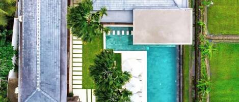 An aerial view of a residential property with a swimming pool, a covered patio, and a tall building adjacent to the property.
