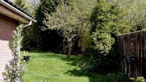 Ein Garten mit einem Ziegelhaus, einem Holzzaun und einem Baum.