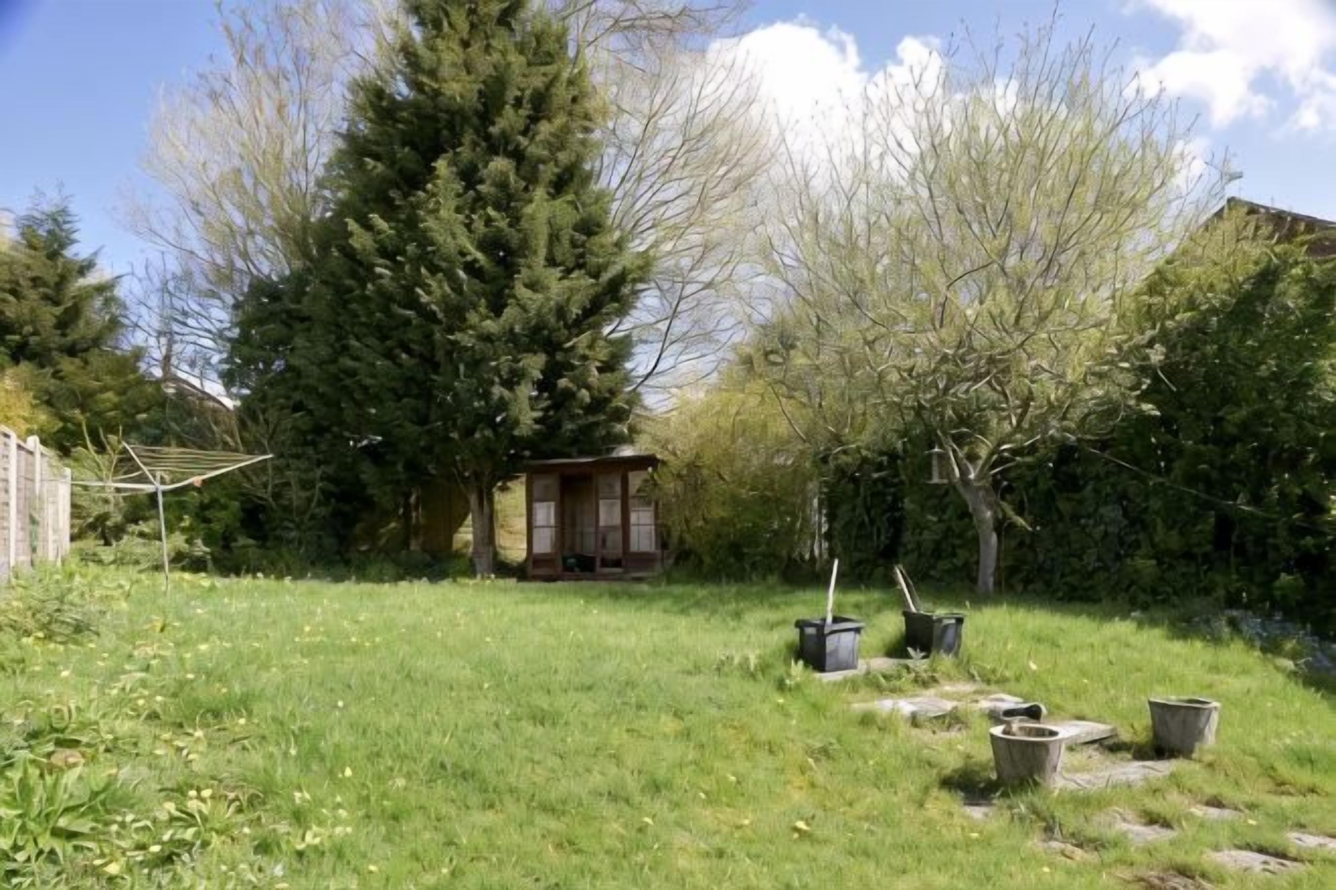 Ein Rasen mit einer Holzhütte und mehreren Pflanzgefäßen.