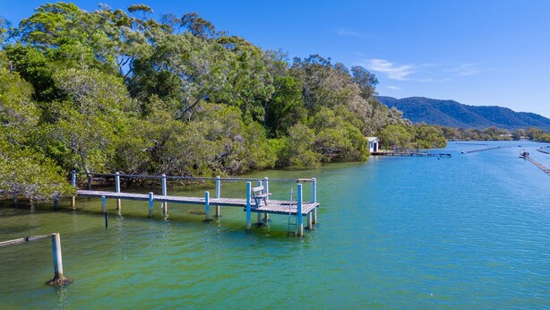 A dock extending into a calm body of water, surrounded by dense greenery and a small structure on the far end.