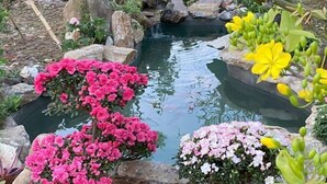A garden with a pond surrounded by rocks and flowering plants. - MyGarden Villa Binh Chau Hotspring (Binh Chau)