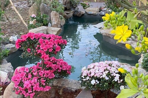 MyGarden Villa Binh Chau Hotspring