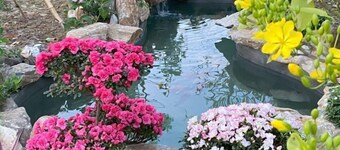 MyGarden Villa Binh Chau Hotspring