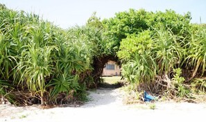 Property grounds - Mizu House Yagaji (Nago)
