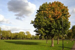 A park with a large tree, a grassy field, and a clear sky. - Exclusive 1 bedroom Apartment in Hackney! (London)