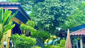 A lush garden with a building that has a blue roof and a yellow wall. There is a large tree in the background and a bench with a lamp post nearby. - patong beautiful pool villa (Phuket)