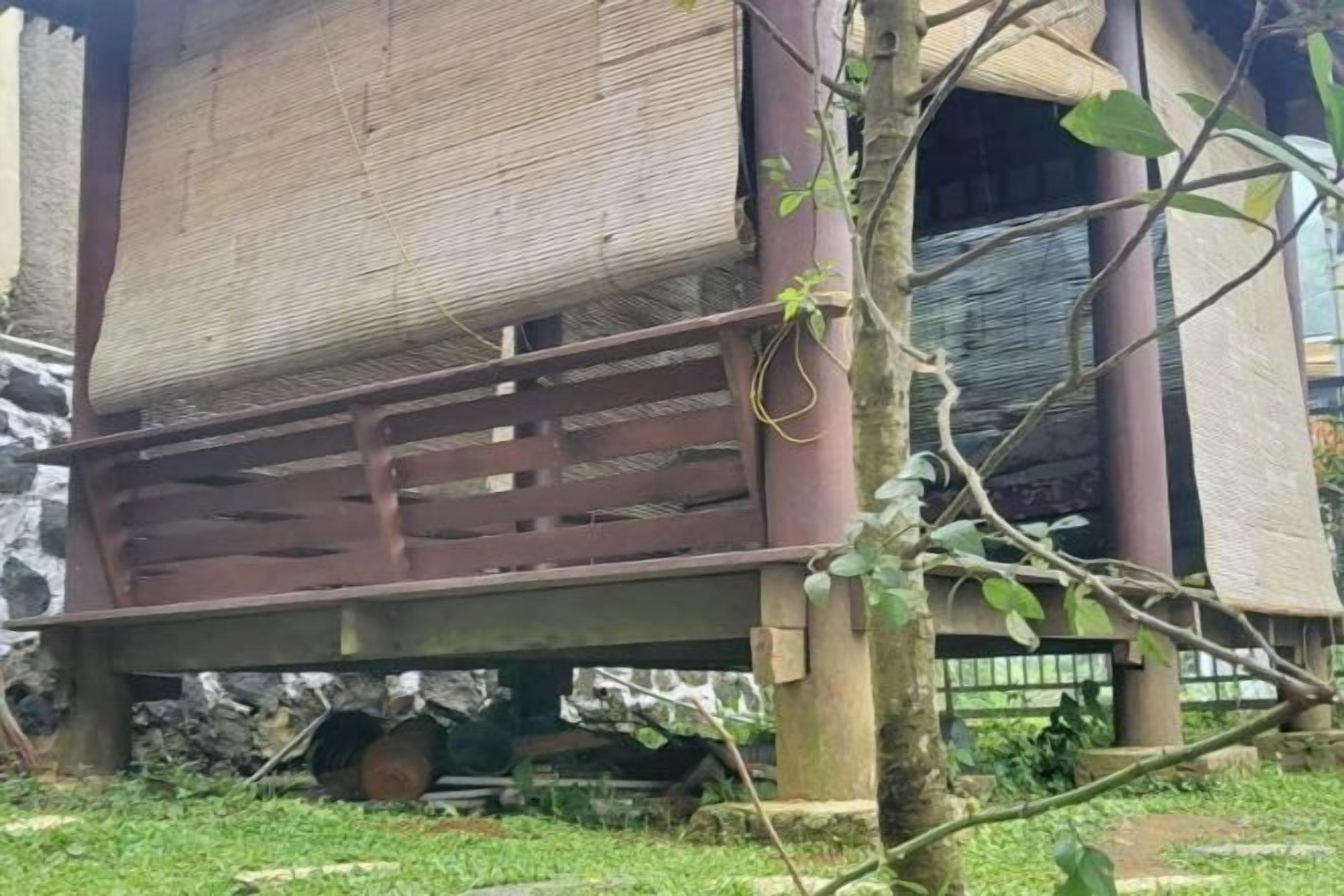 Een constructie met een houten platform en een metalen hek, omringd door begroeiing.