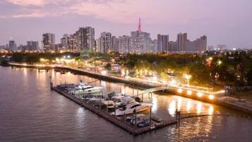 Vista desde la propiedad