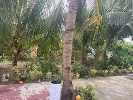 Apartamento, 2 quartos, sacada, vista para o jardim | Jardim