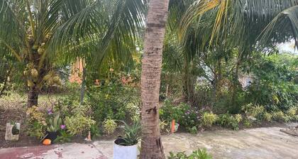 Paradis des Palmiers 1 Gorgeous 2bedroom Apartment