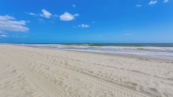 Apartamento (1 Bedroom) | Interior