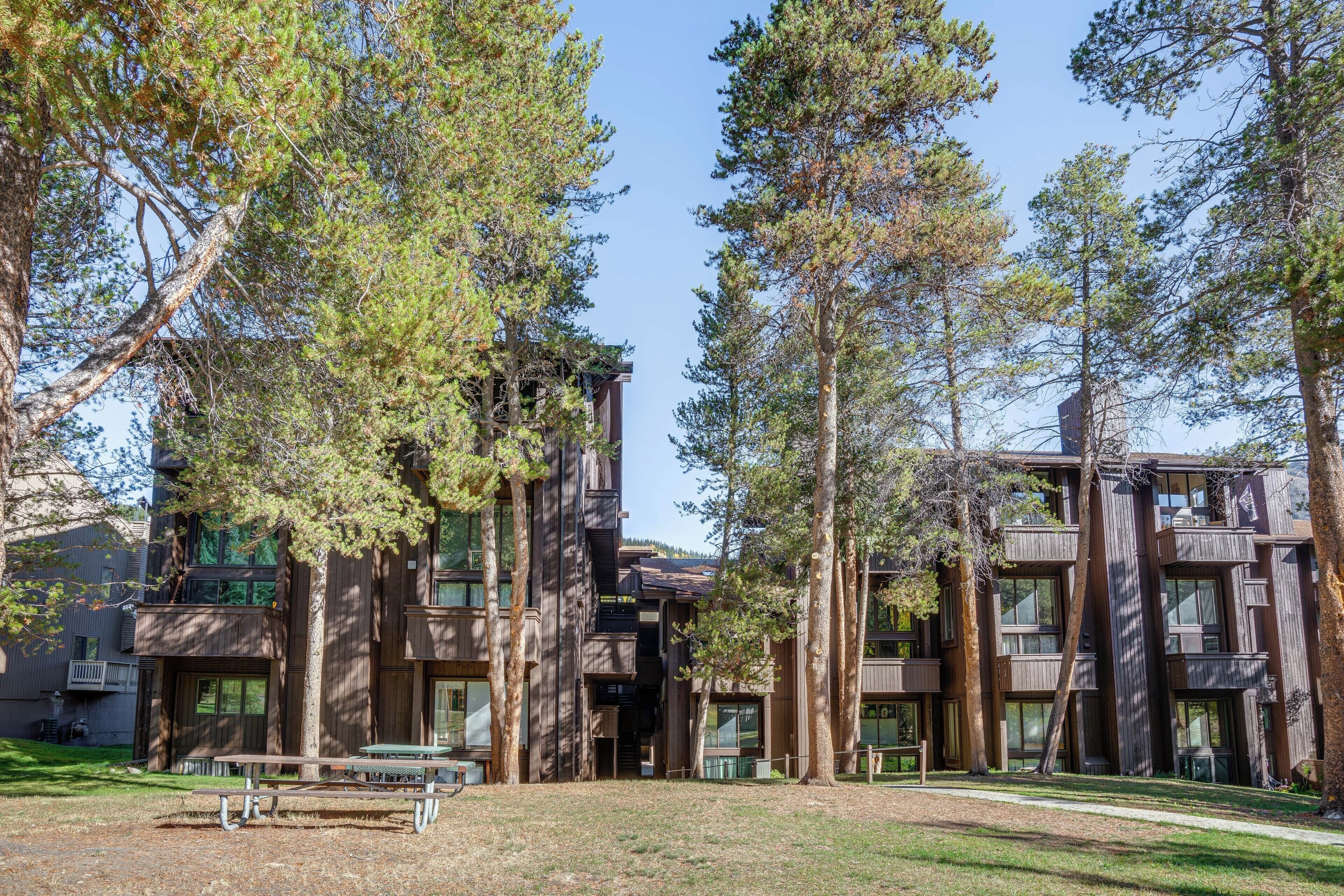 公寓 (1 Bedroom) | 內部