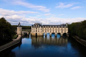 Point of interest - The melody of the forest, 5 minutes from Chenonceau Castle (Chisseaux)