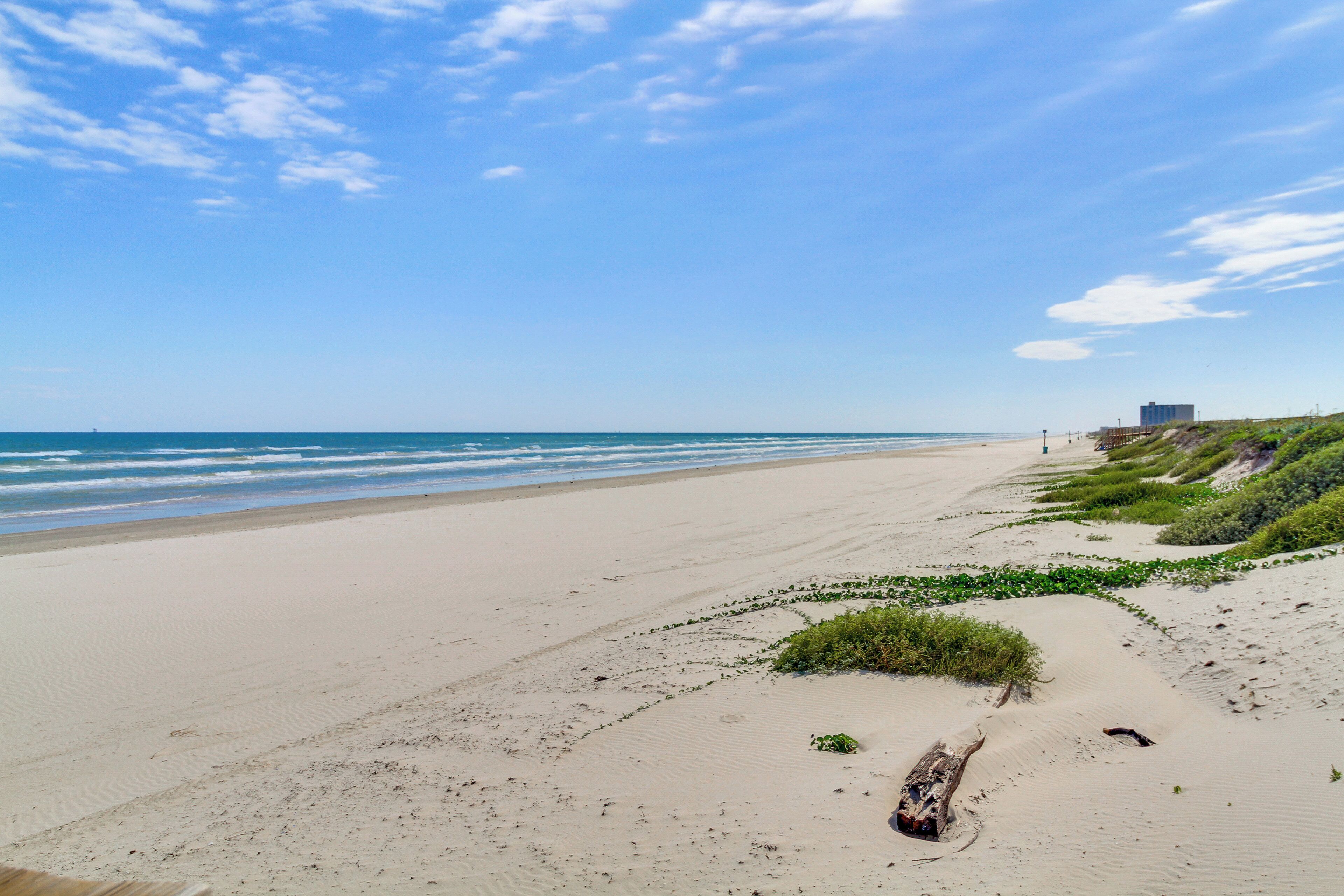 A beach with a clear sky, sandy shore, and some greenery.