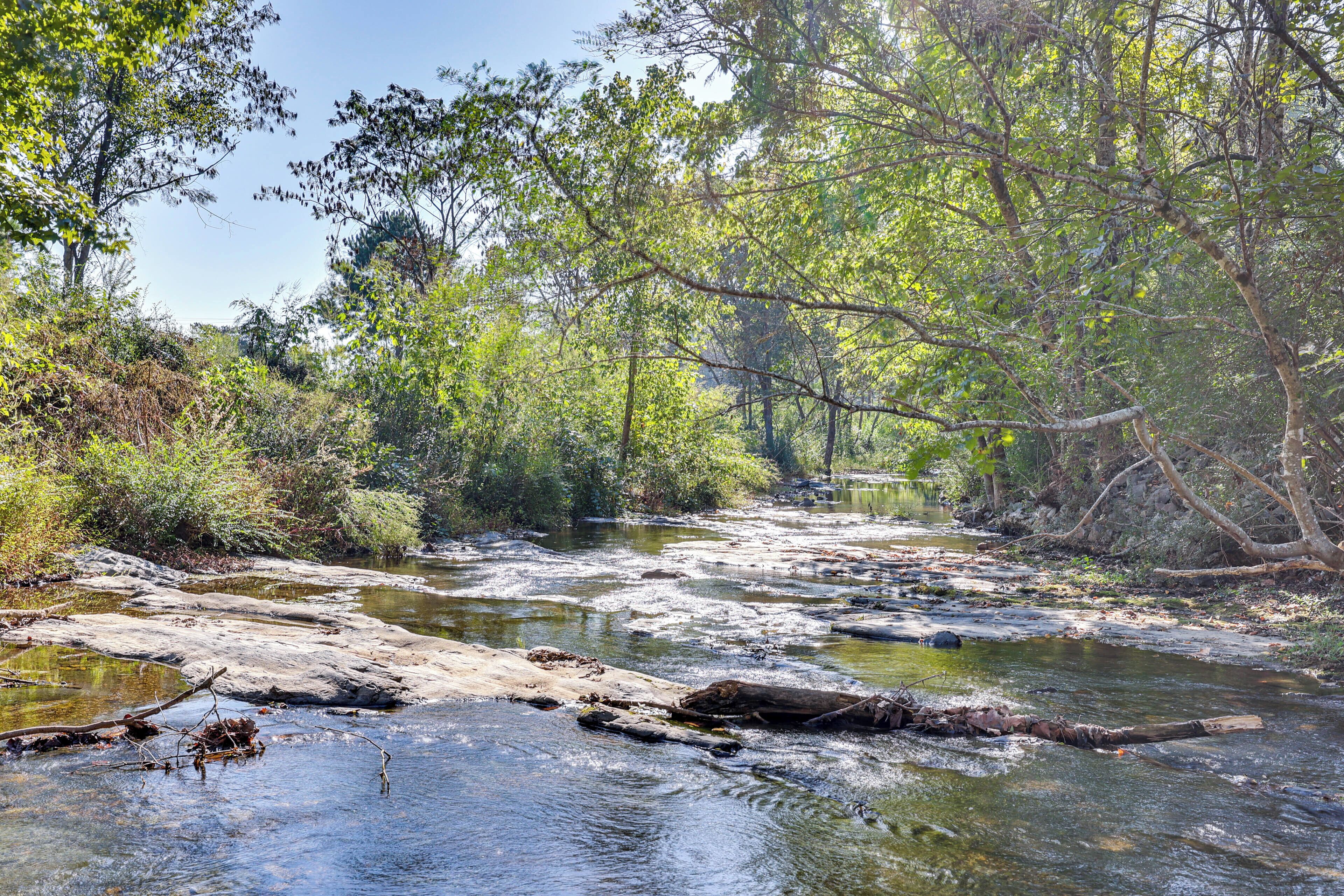 A natural river scene with clear water, rocks, and dense foliage.