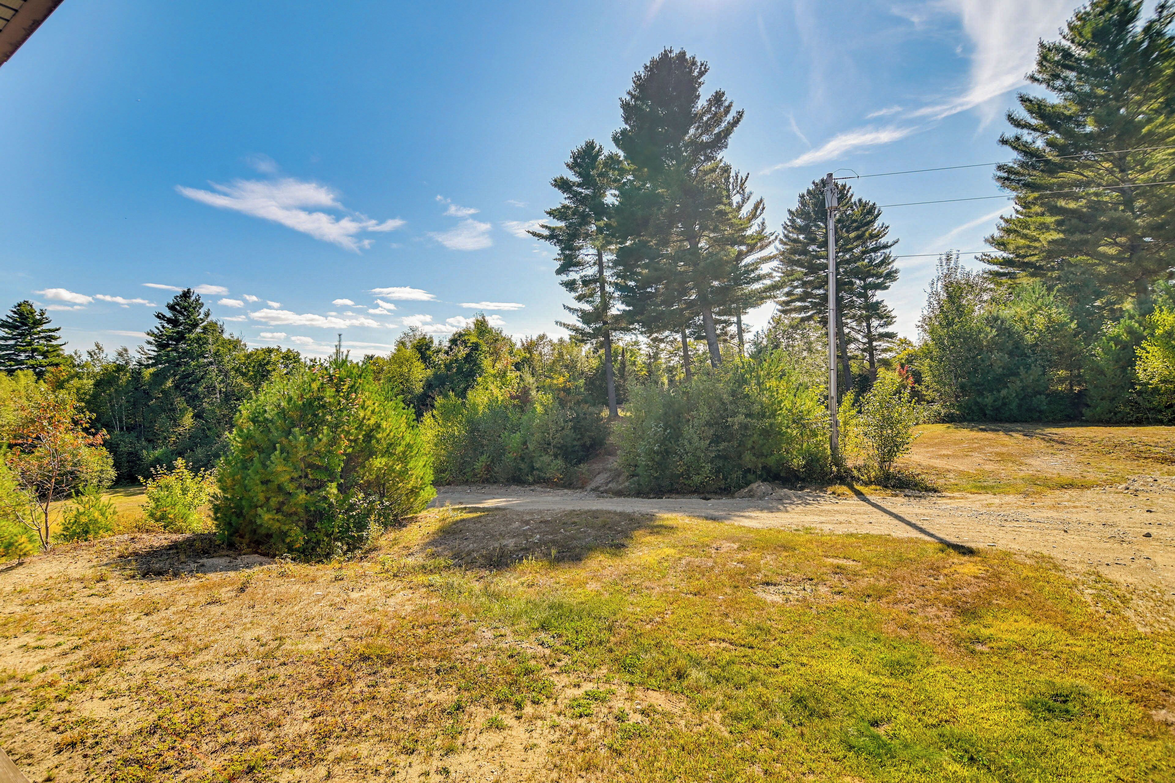 A natural landscape with trees, a dirt path, and a clear sky.