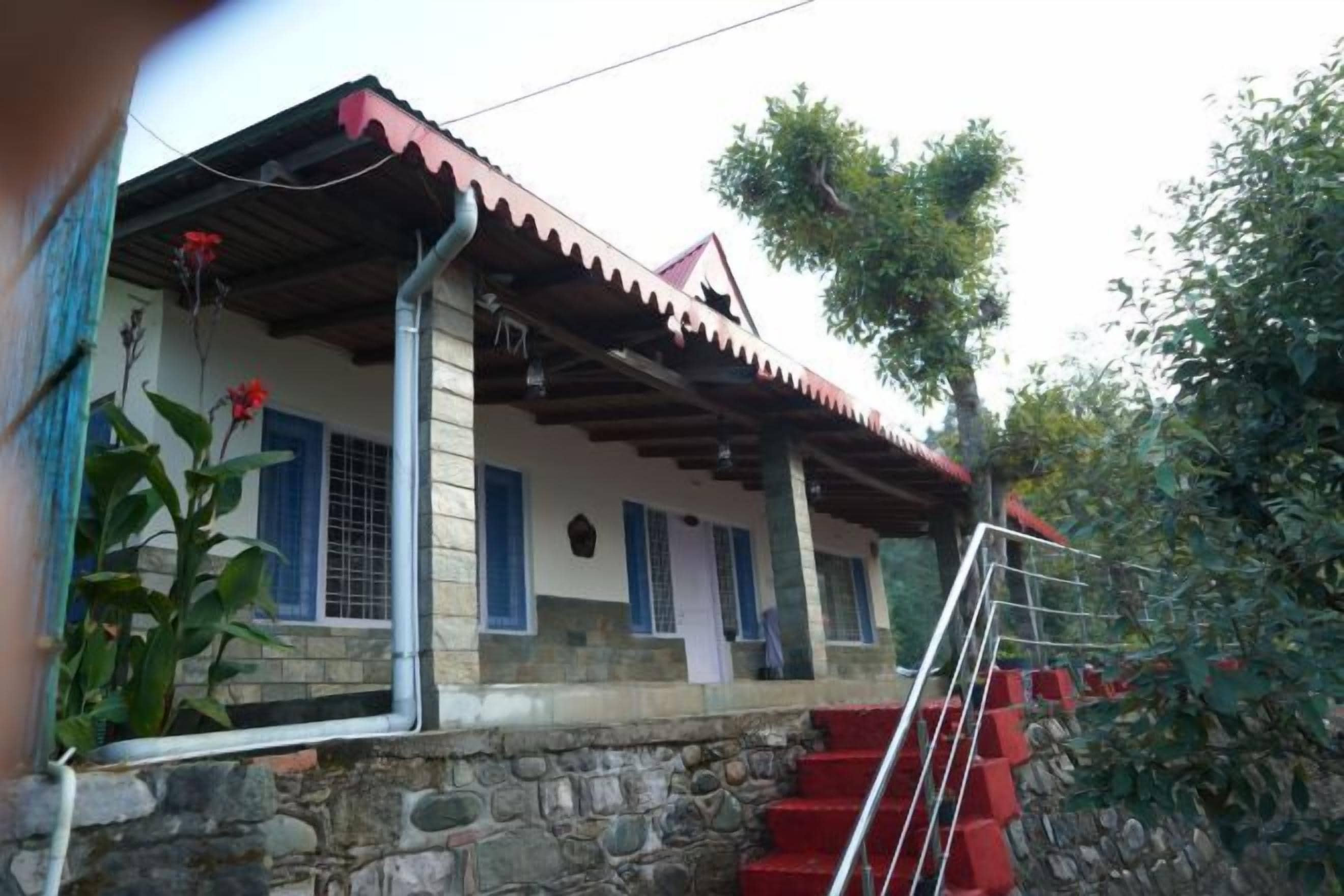 A house with a stone staircase leading to a porch, surrounded by greenery.