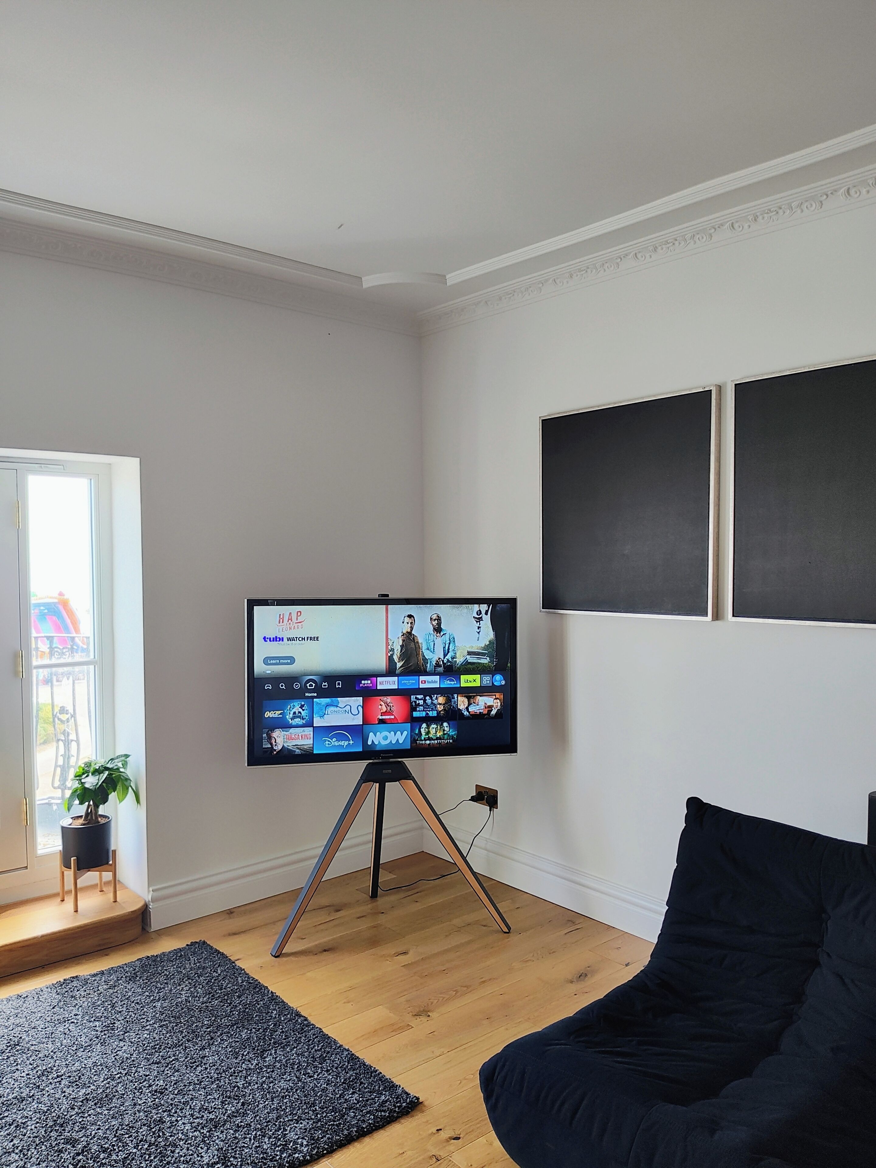 A living room with a flat-screen TV on a stand, a black couch, a grey rug, and a potted plant.