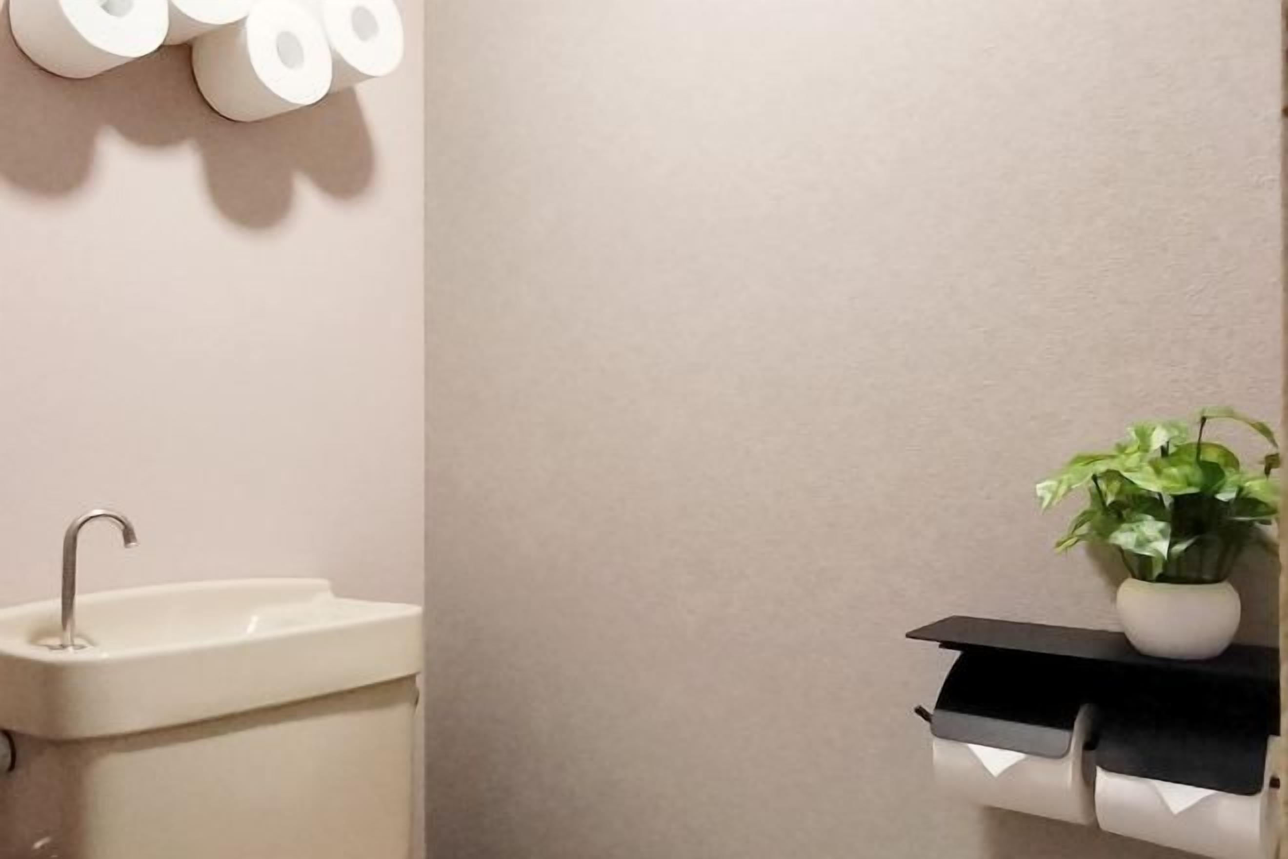 A bathroom with a sink, toilet paper holder, and a potted plant.