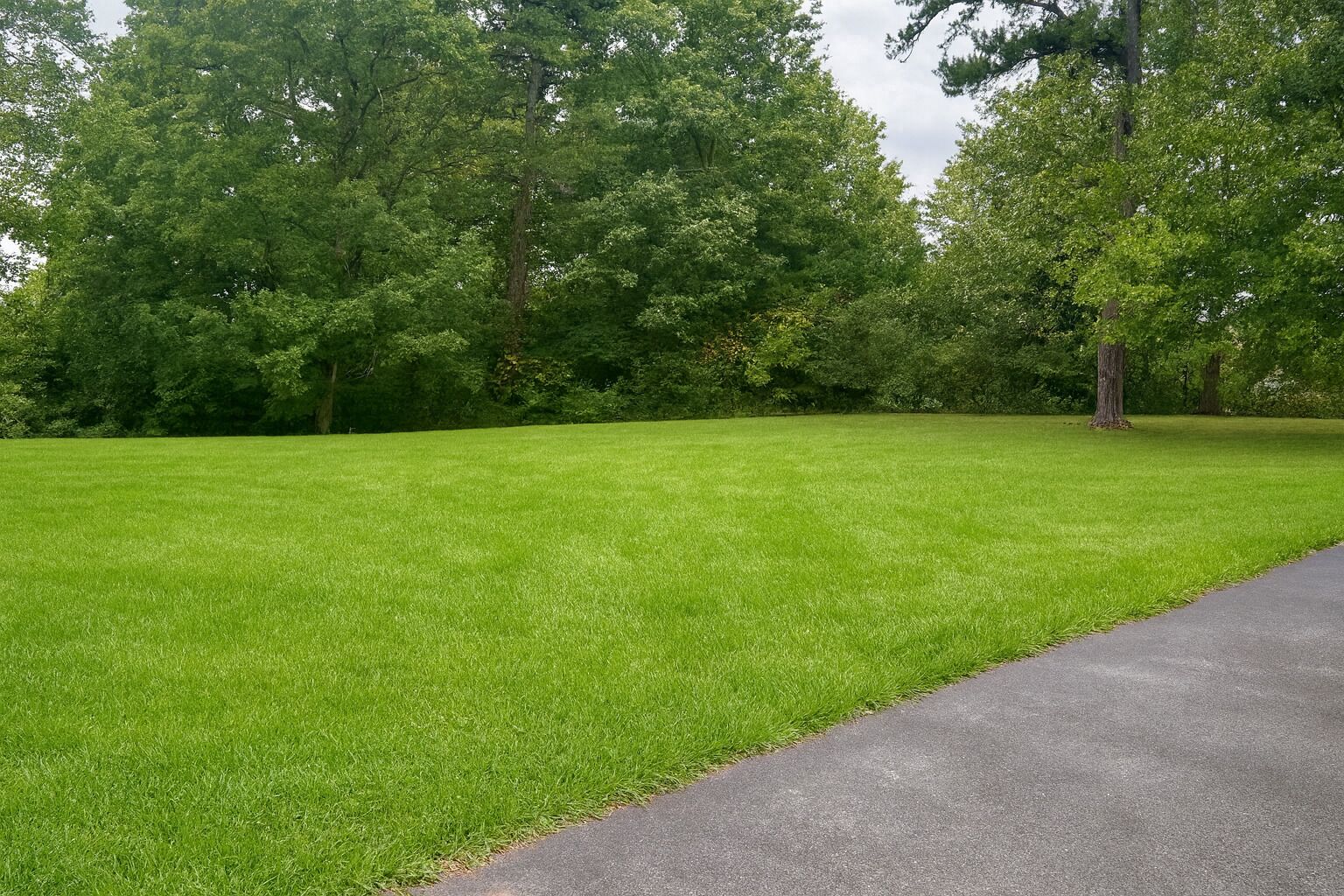 A well-maintained grassy area with a paved path.