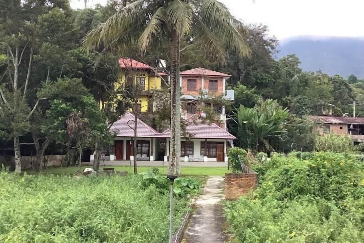 A two-story house with a red roof, surrounded by lush greenery and a palm tree.