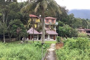 Una casa de dos pisos con techo rojo, rodeada de abundante vegetación y una palmera.