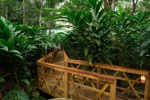 A wooden bridge in a lush green environment. - Reen Resorts Aanavilasam Plantation Thekkady (Thekkady)
