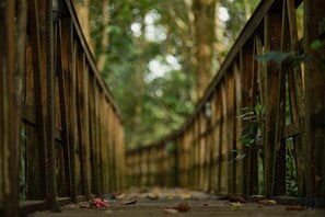 A wooden bridge with railings, surrounded by greenery. - Reen Resorts Aanavilasam Plantation Thekkady (Thekkady)