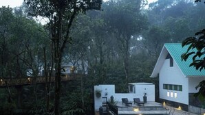 Une maison moderne dotée d’une piscine, entourée d’une forêt dense.