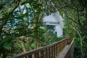 A pathway leading to a building surrounded by dense foliage.