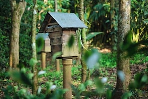 Unclassified image, 4 of 69, button - Reen Resorts Aanavilasam Plantation Thekkady (Thekkady)
