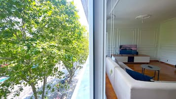 Iron/ironing board, free WiFi